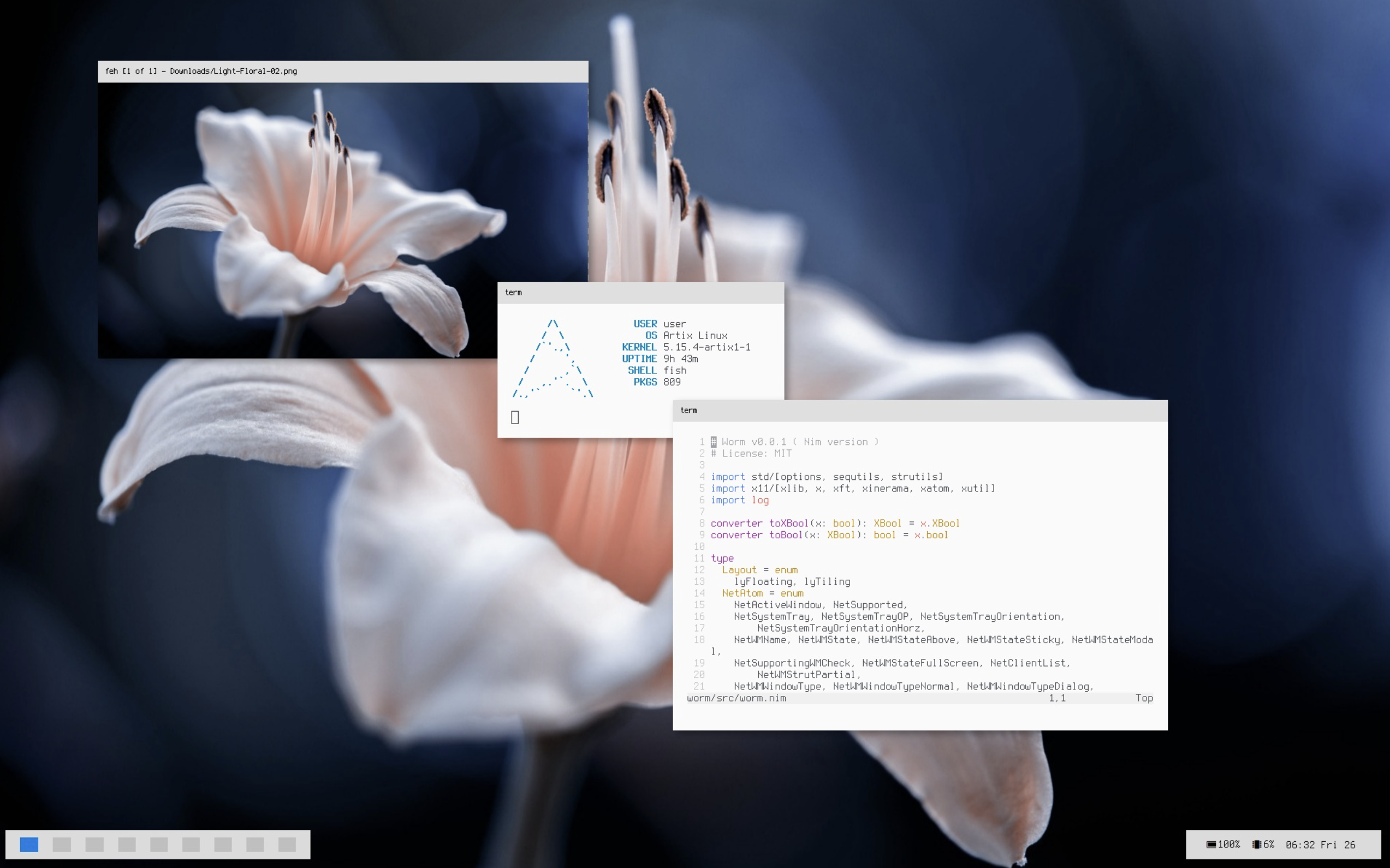 screenshot of my old worm setup
